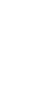 Text Box: 